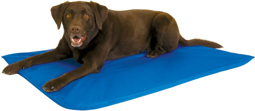 K&H Cool Bed III for Dogs