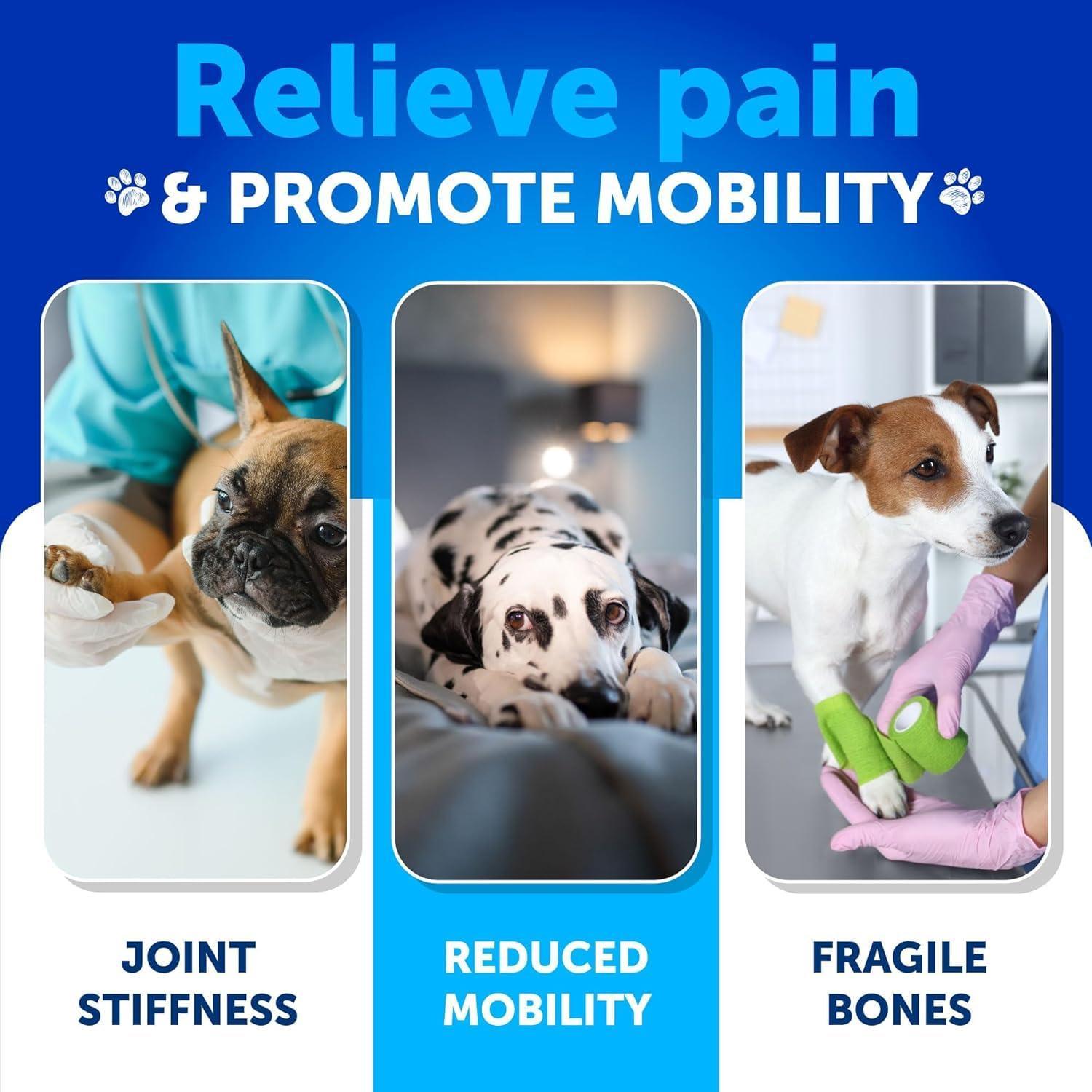 Hip and Joint Supplement for Dogs Glucosamine Joint Pain Relief Chews