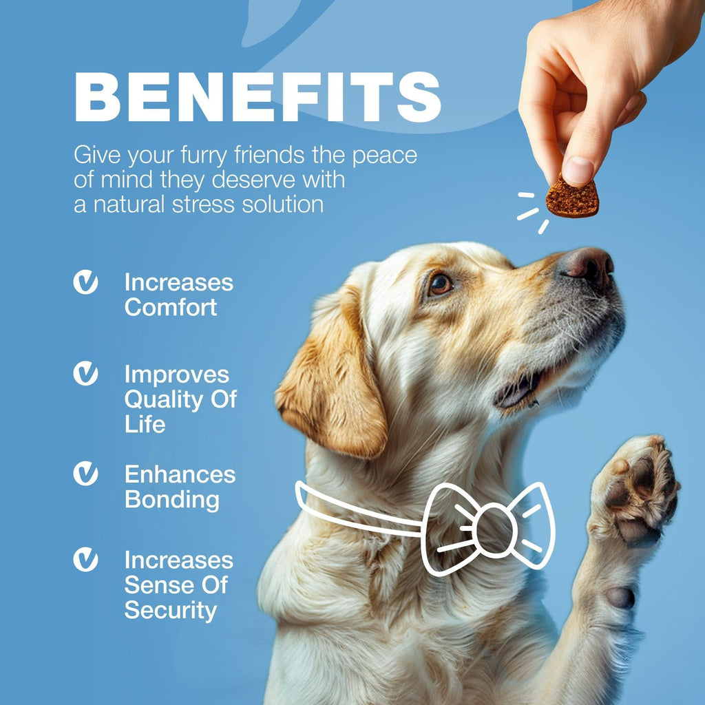 Hemp Calming Chews for Dogs Anxiety Relief L-Theanine & Chamomile
