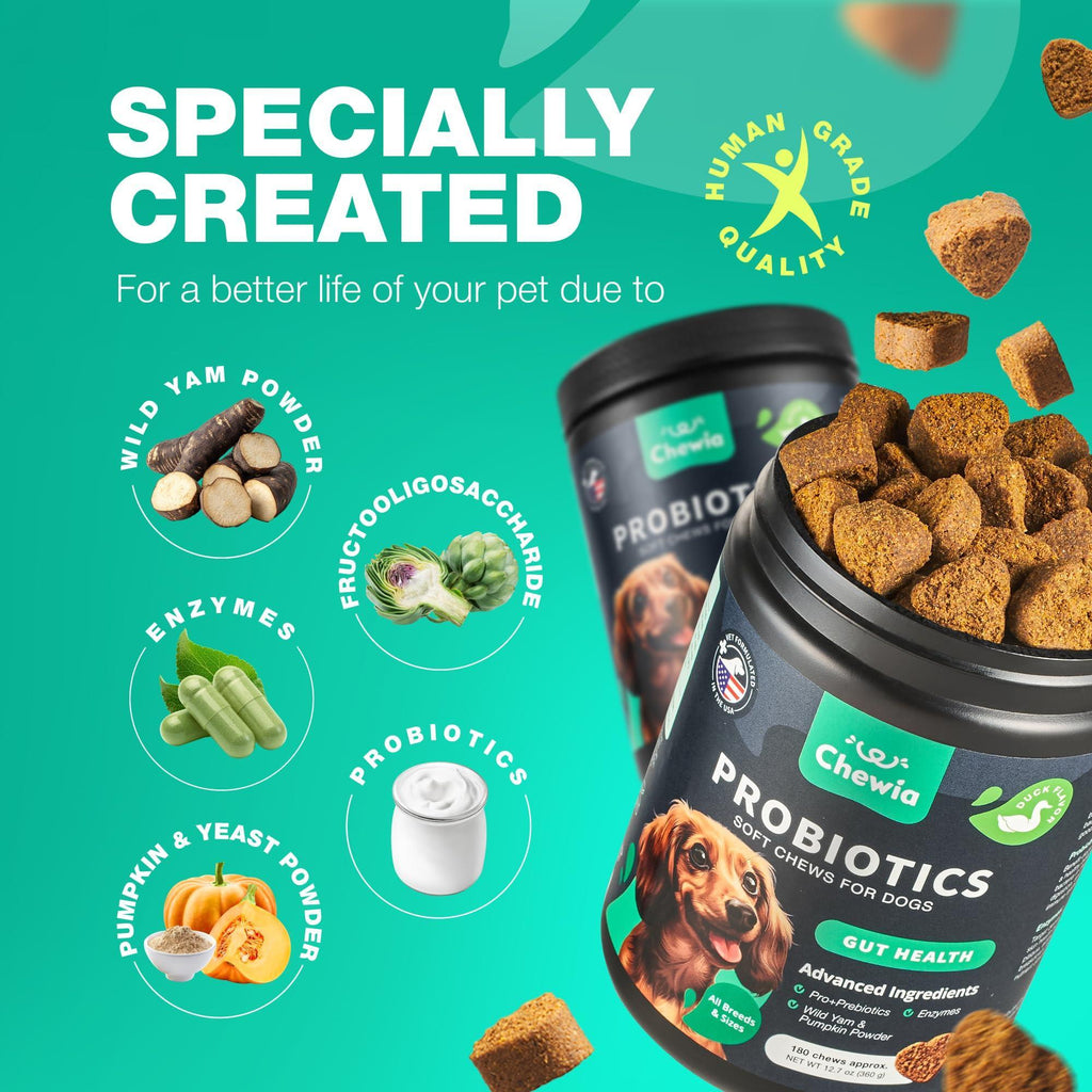 Probiotics for Dogs Digestive Enzymes Gut Health Pumpkin & Yeast Powder