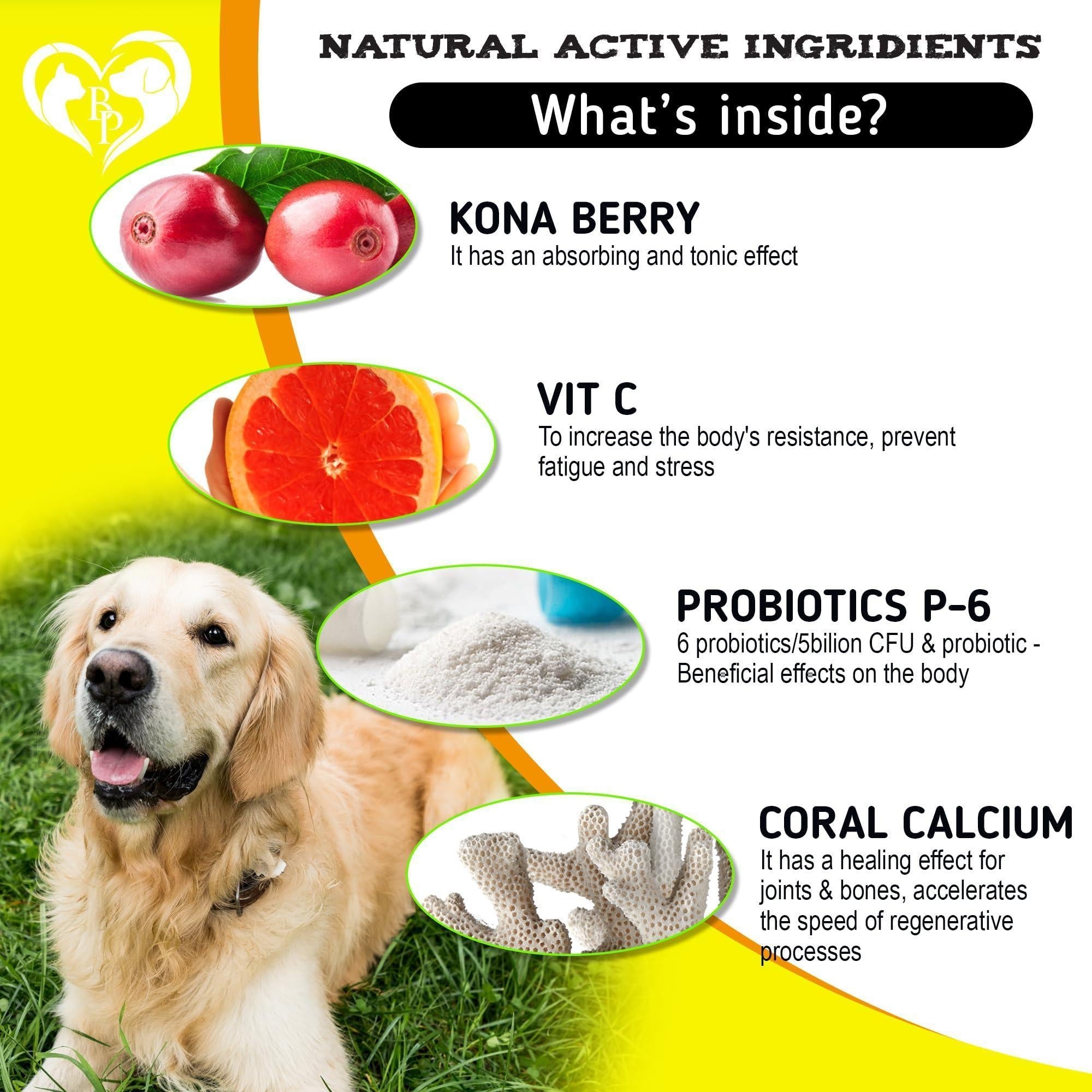 Dog Allergy Relief Chews Anti-Itch Hot Spots Omega-3
