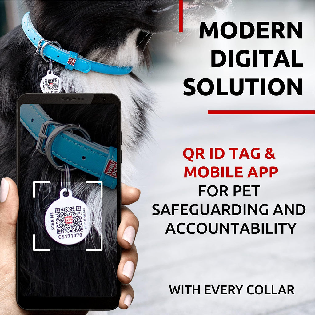 Blue Ultra Soft Rolled Leather Dog Collar 13-16 inch Neck Soft Padded Dog Collars for Medium Dogs Puppy Collar