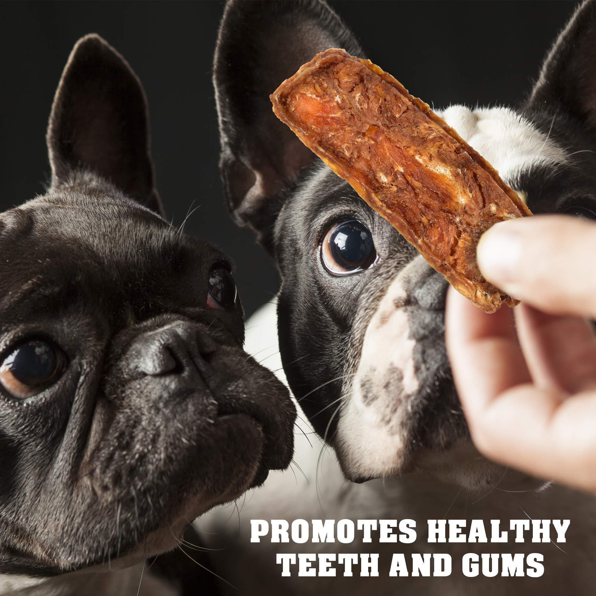 Chicken Jerky Dog Treats 1.5 lb Human-Grade Grain-Free Dried Strips