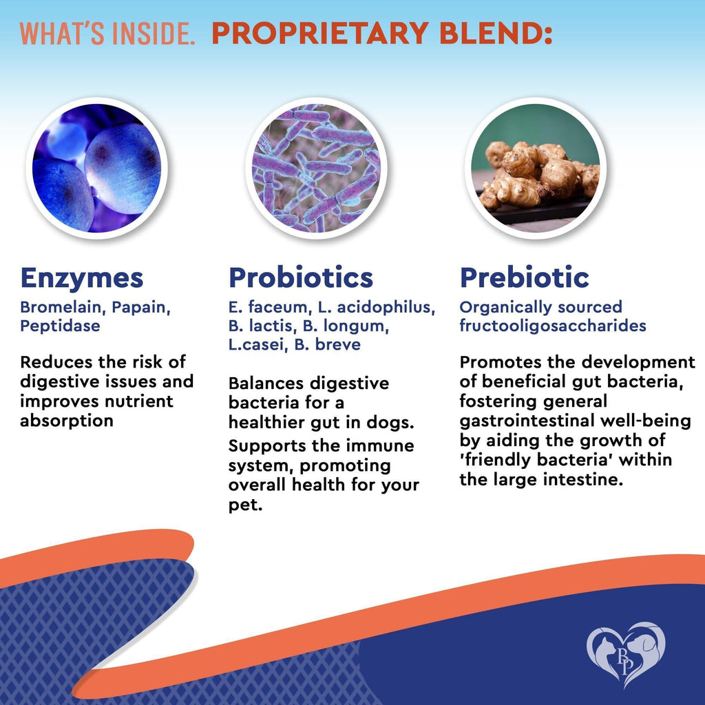 Probiotics & Prebiotics for Dogs & Cats Digestive Enzymes Gut Health