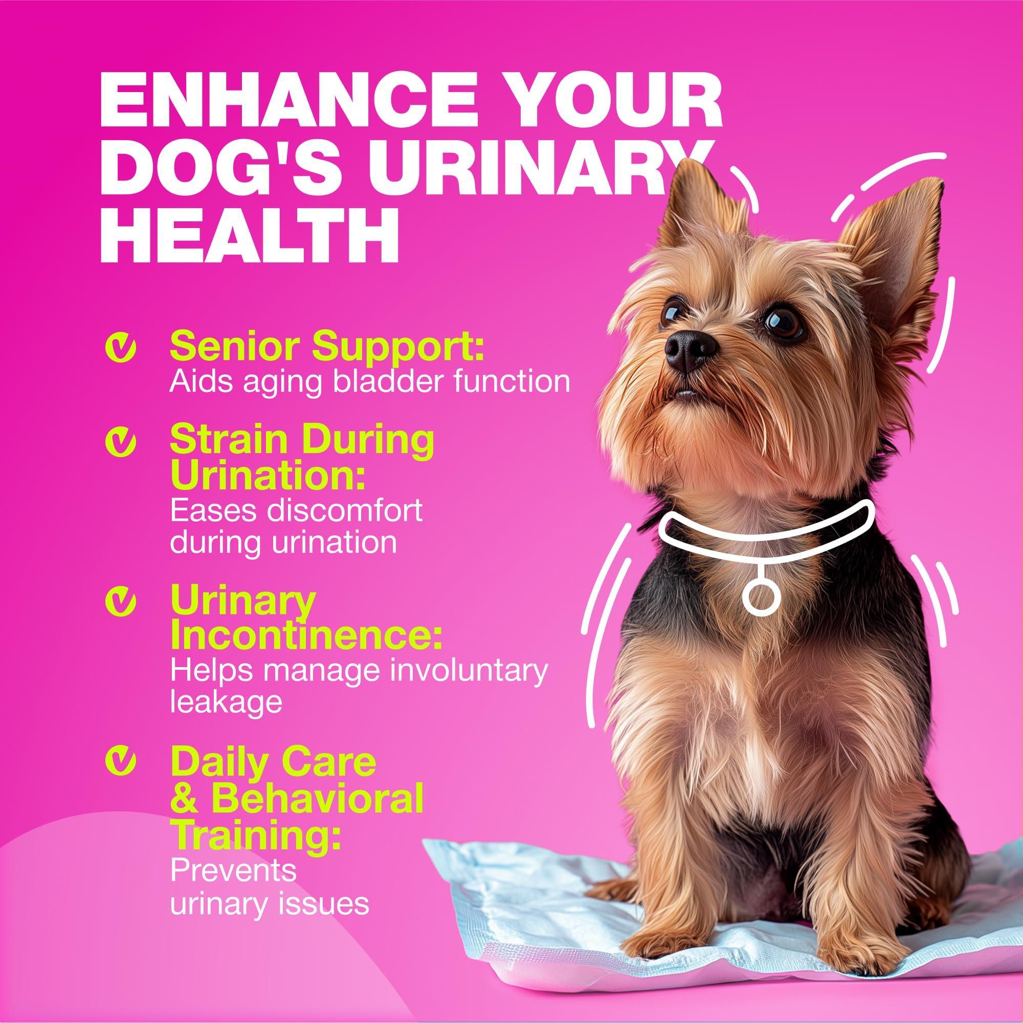 Dog UTI Treatment Cranberry Supplement Bladder & Kidney Health