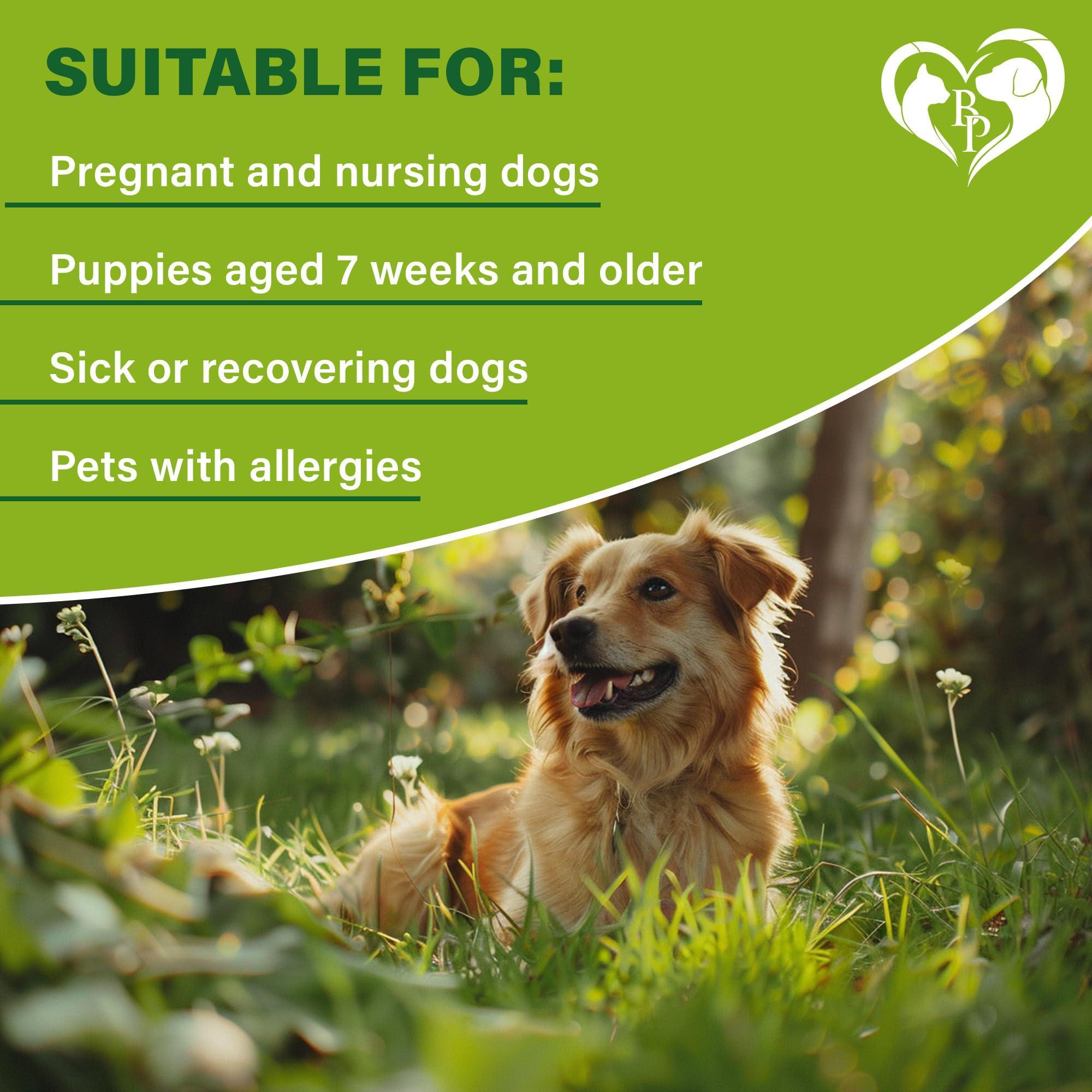 Flea & Tick Collar for Dogs 6-Month Protection Essential Oil 2 Count