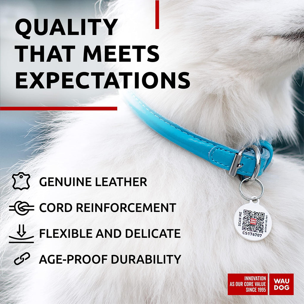 Rolled Leather Dog Collar XSmall Dogs 10–13 in Neck Blue