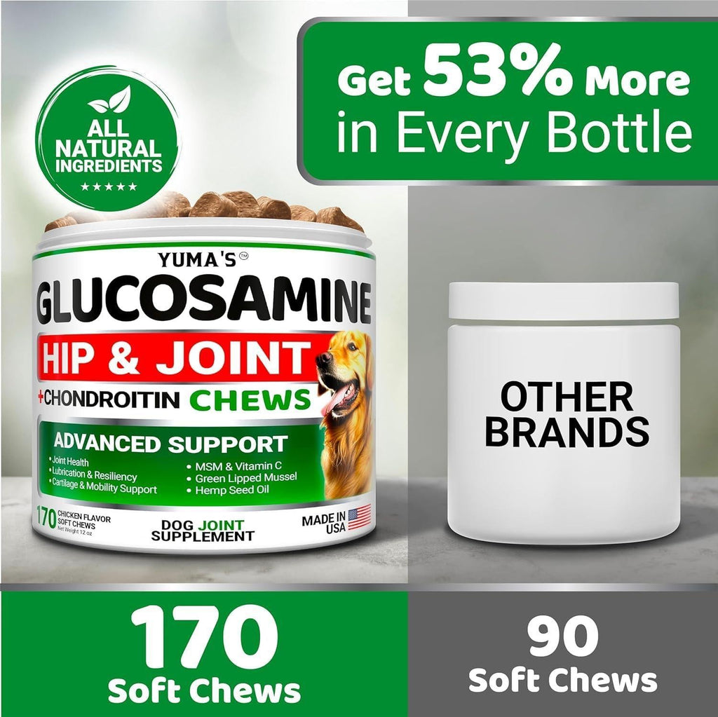 Glucosamine for Dogs 2-Pack Chondroitin Joint Pain Relief