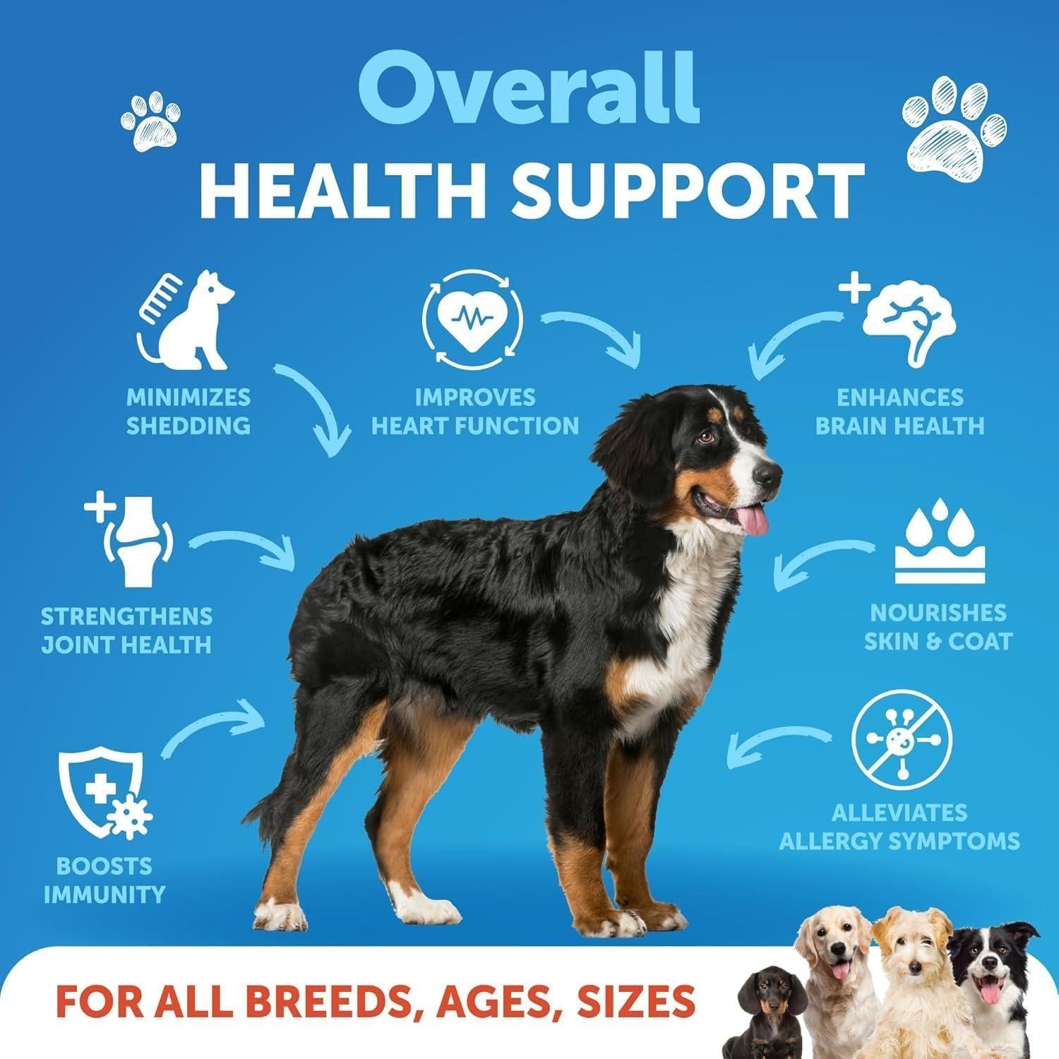 Omega-3 Fish Oil for Dogs 16 fl oz Skin & Coat Support