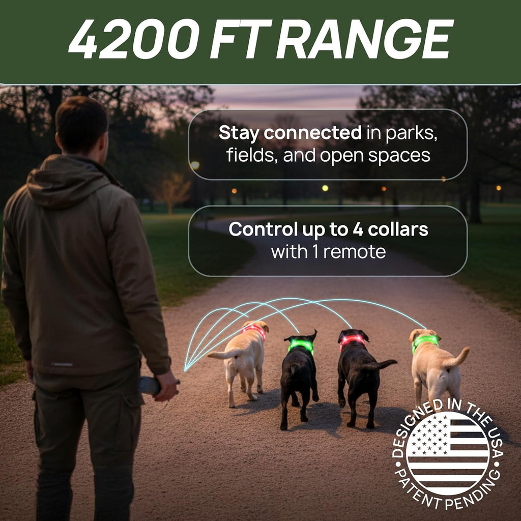 Dog Training Collar for 2 Dogs — 360° LED Lights, 4200FT Range, Waterproof