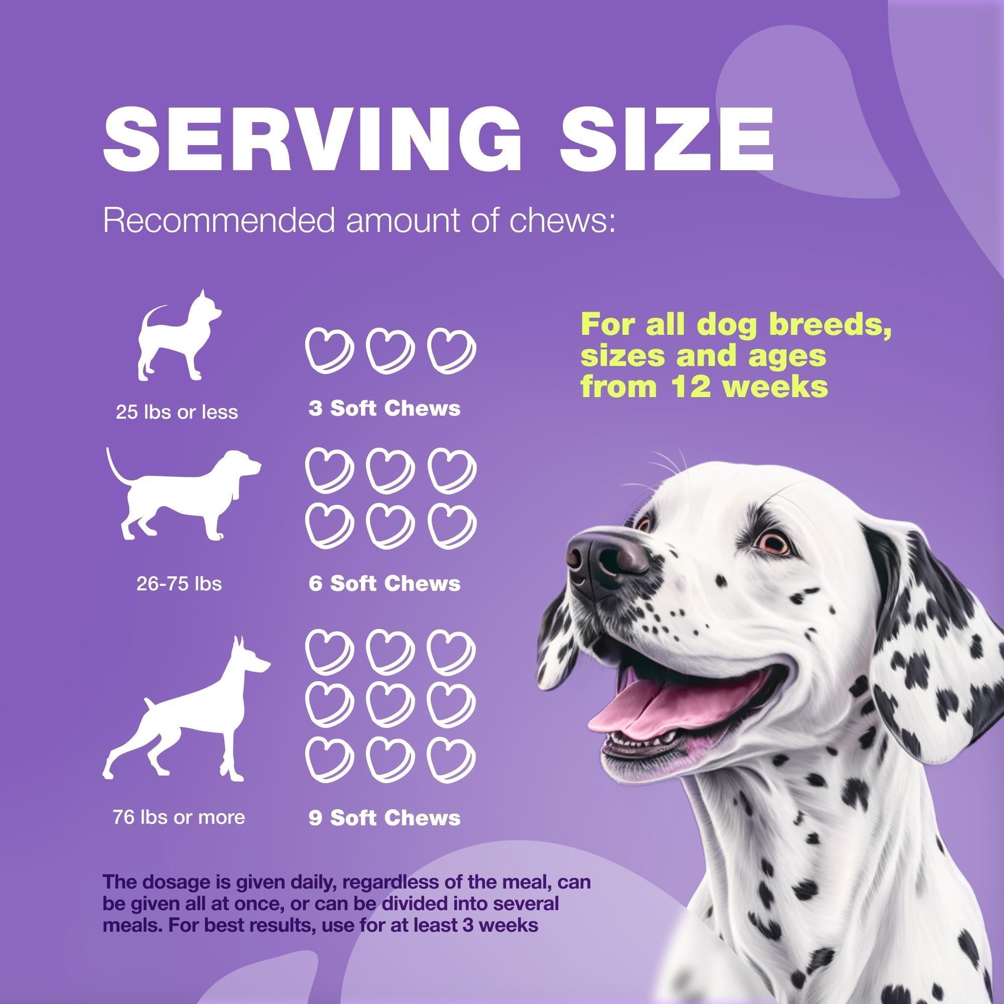 Dog Multivitamin Chews 15-in-1 MSM Hip & Joint Health