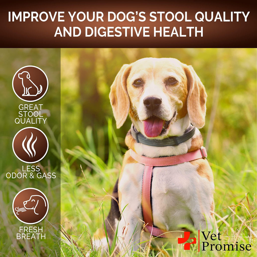 Probiotics for Dogs 120 Chews Stool Softener High Fiber