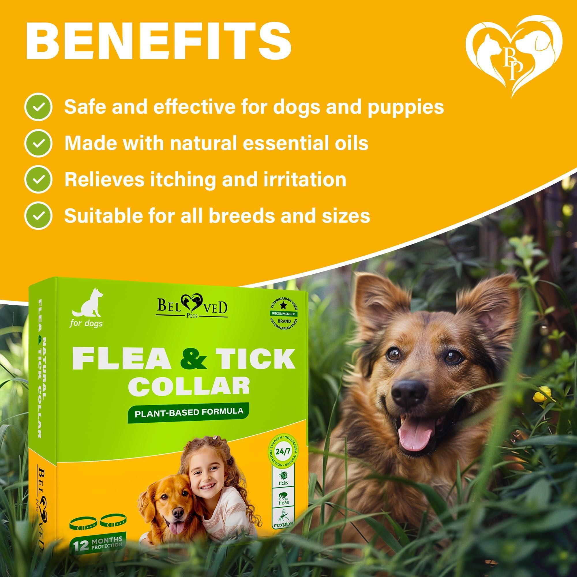 Flea & Tick Collar for Dogs 6-Month Protection Essential Oil 2 Count