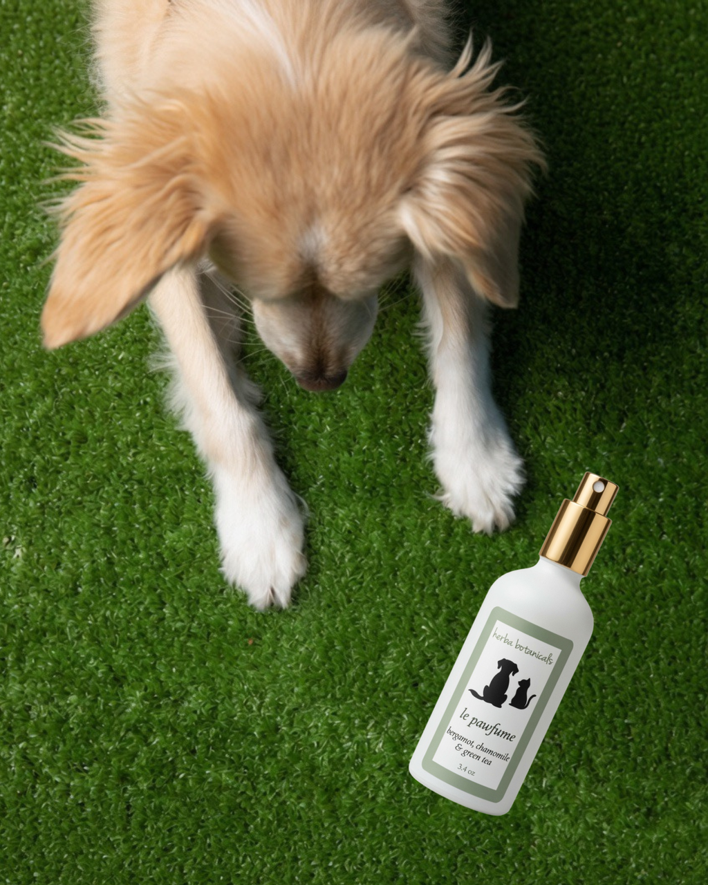 natural pet spray