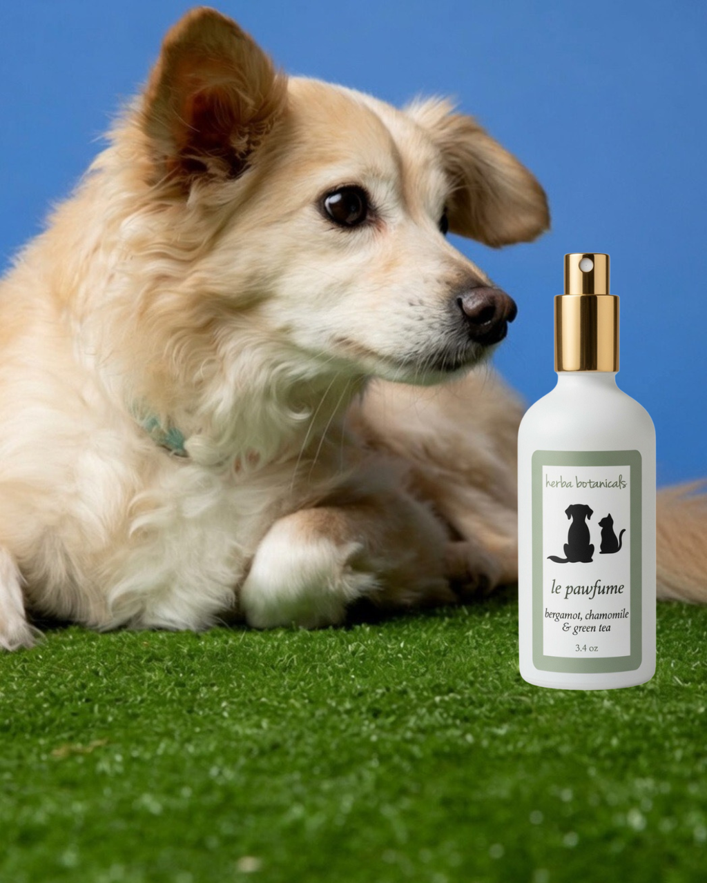 natural pet spray
