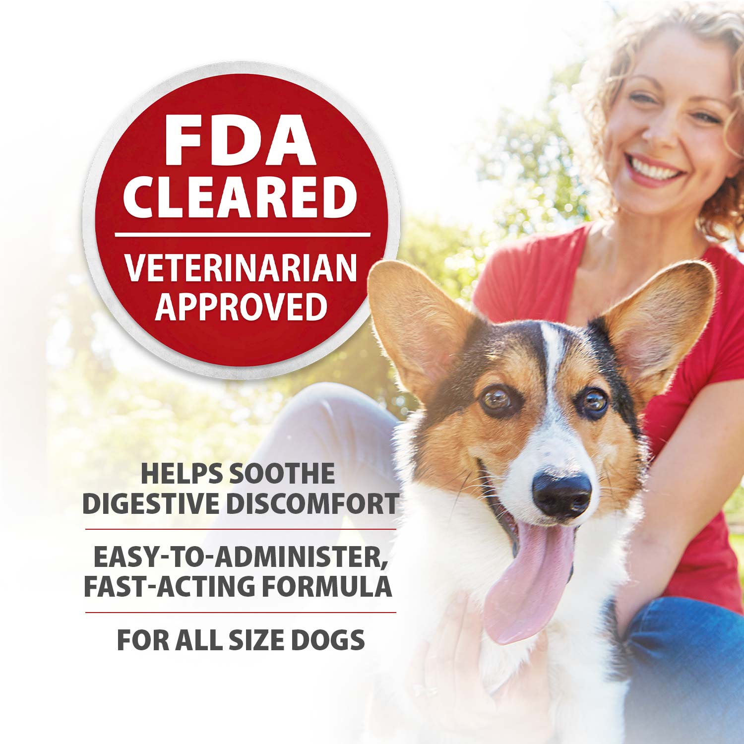 Digestive Support Tablets for Dogs - Bismuth Tummy Relief for Diarrhea