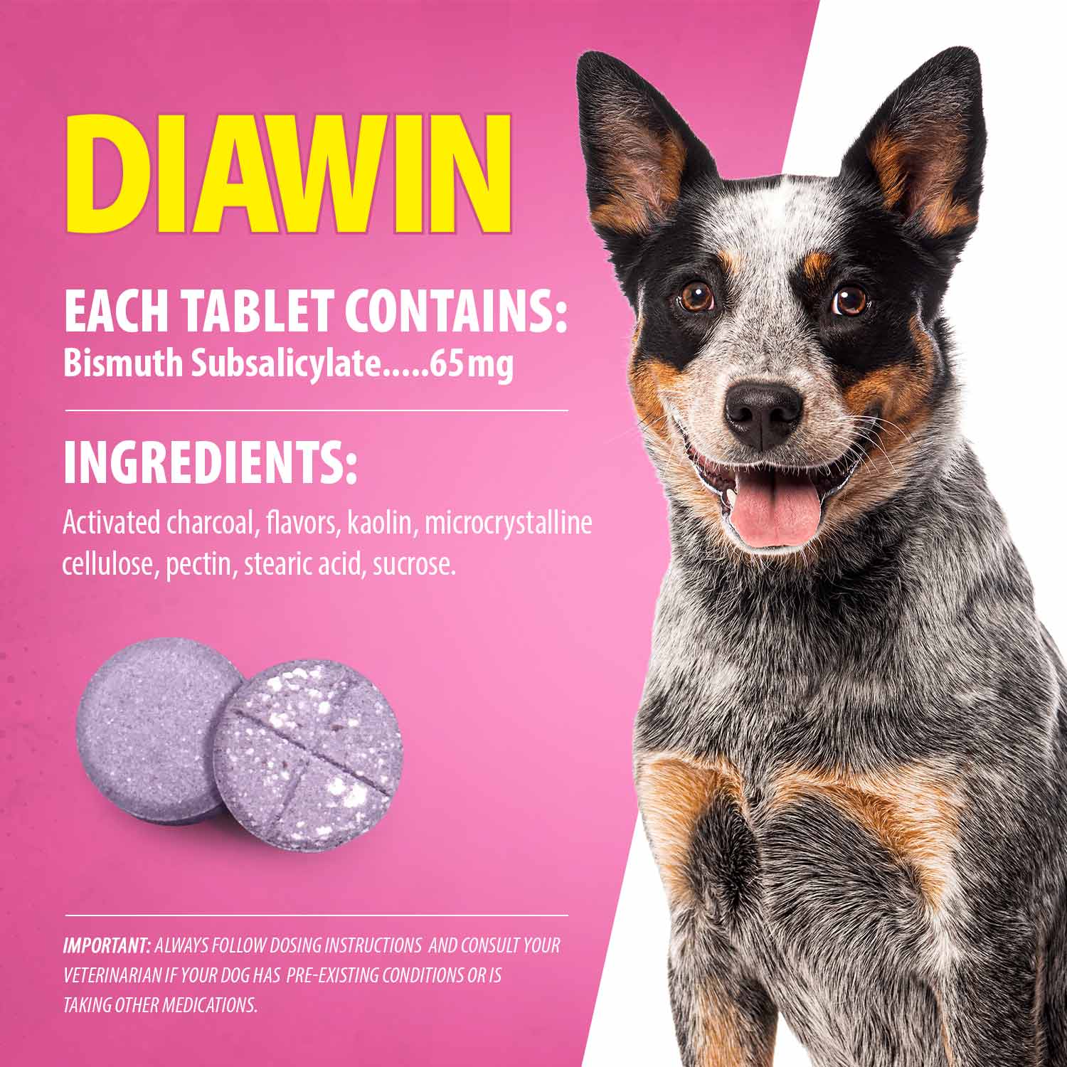 Digestive Support Tablets for Dogs - Bismuth Tummy Relief for Diarrhea