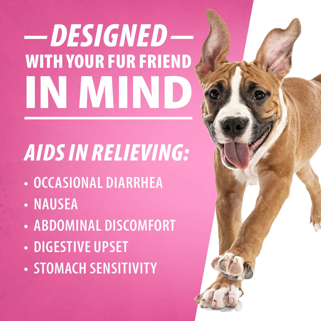 Digestive Support Tablets for Dogs - Bismuth Tummy Relief for Diarrhea
