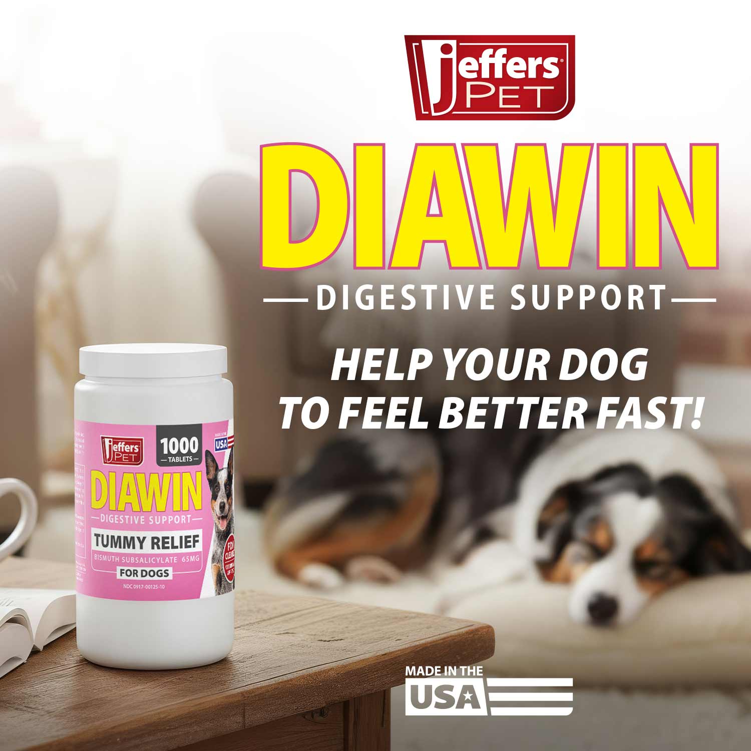 Digestive Support Tablets for Dogs - Bismuth Tummy Relief for Diarrhea