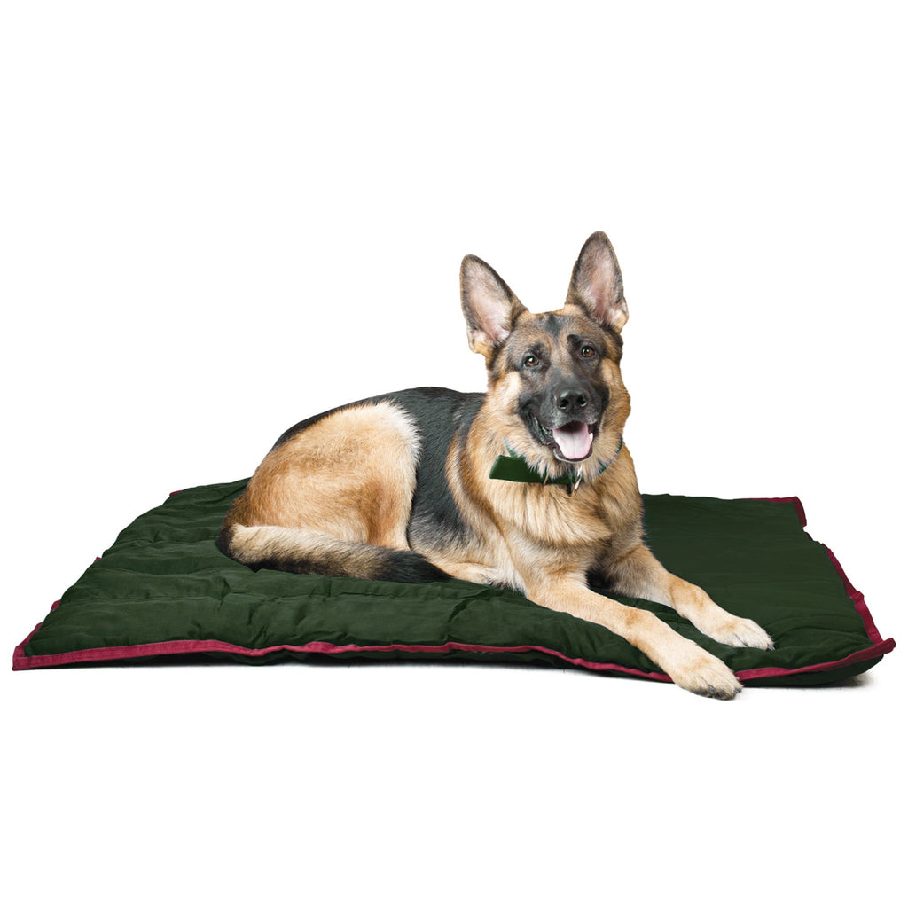 Washable Comfy Pet Pillow for Crates, Carriers, or Lounging