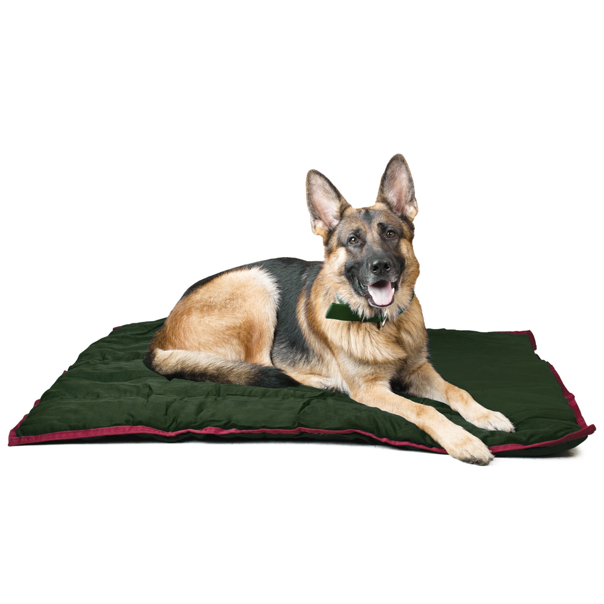 Washable Comfy Pet Pillow for Crates, Carriers, or Lounging