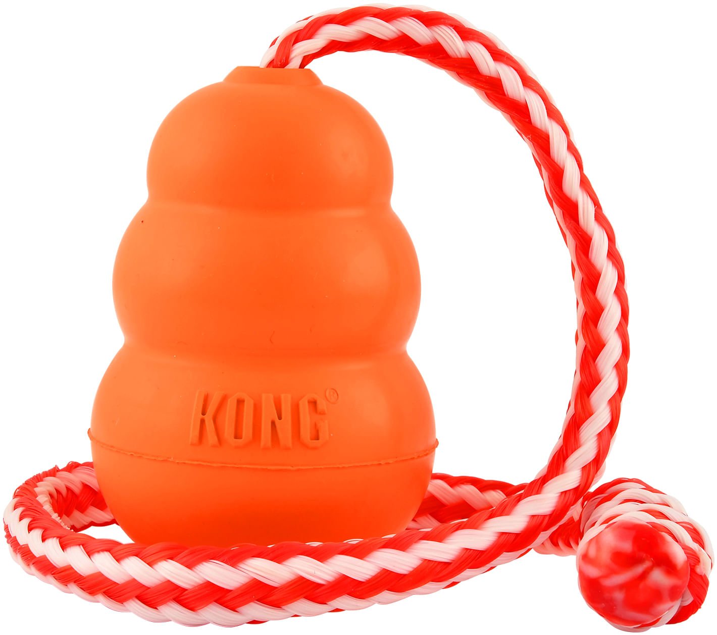 Aqua Floating Water Dog Toy