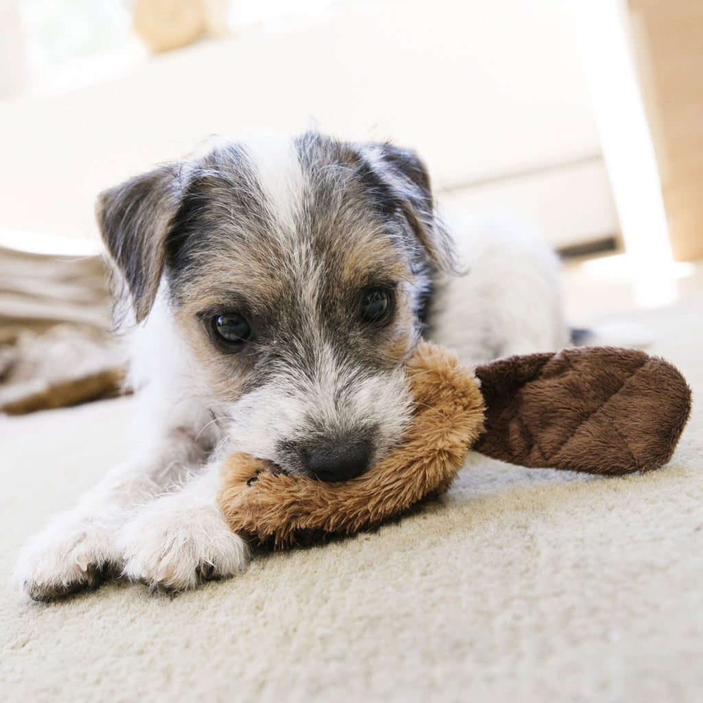 X-Small Plush Dog Toys – Stuffing-Free, Soft Cuddle Toy with Removable and Extra Squeaker for Small Dogs
