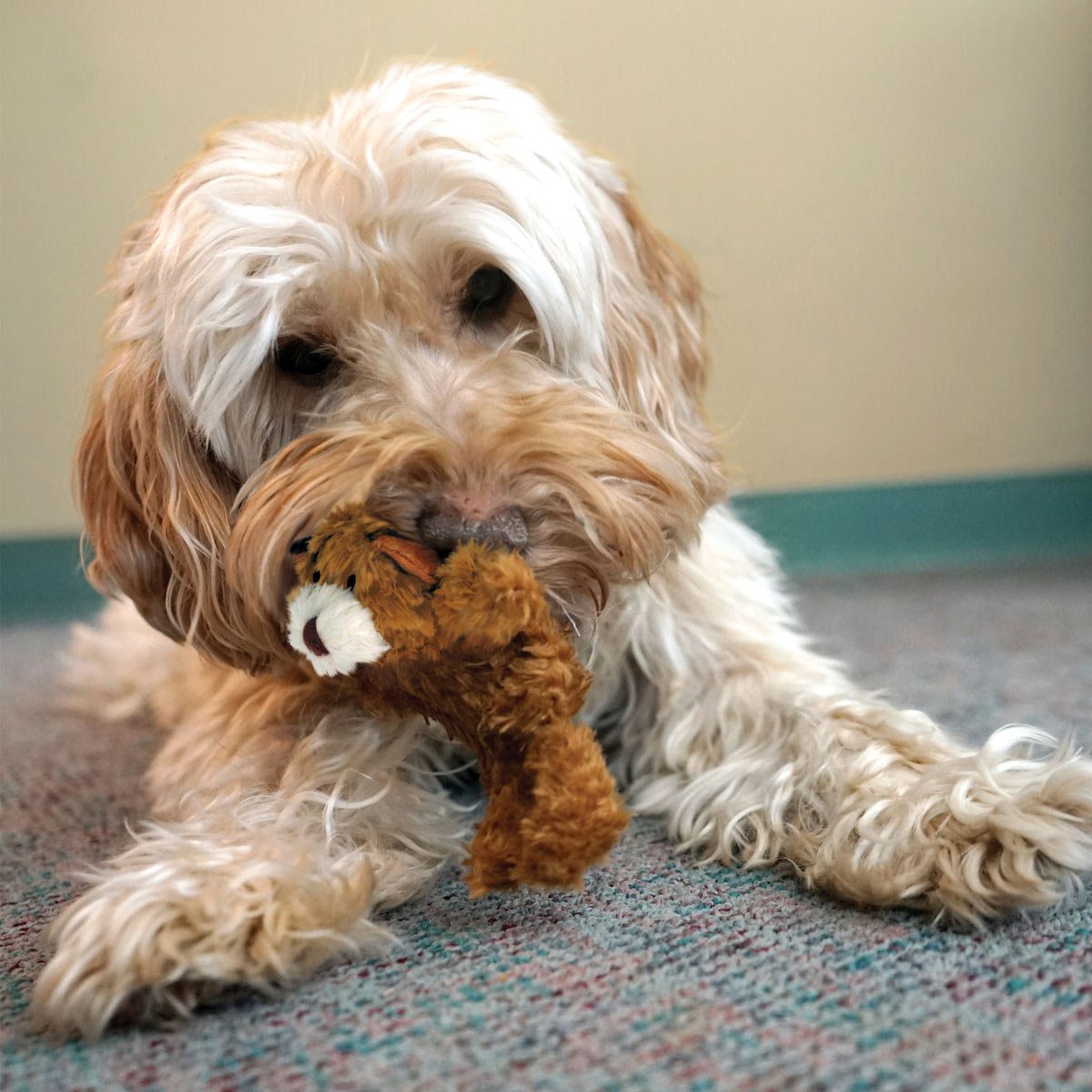 X-Small Plush Dog Toys – Stuffing-Free, Soft Cuddle Toy with Removable and Extra Squeaker for Small Dogs