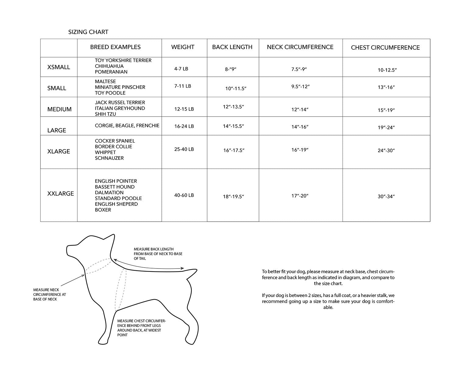 Evan Water Repellant Pet Raincoat