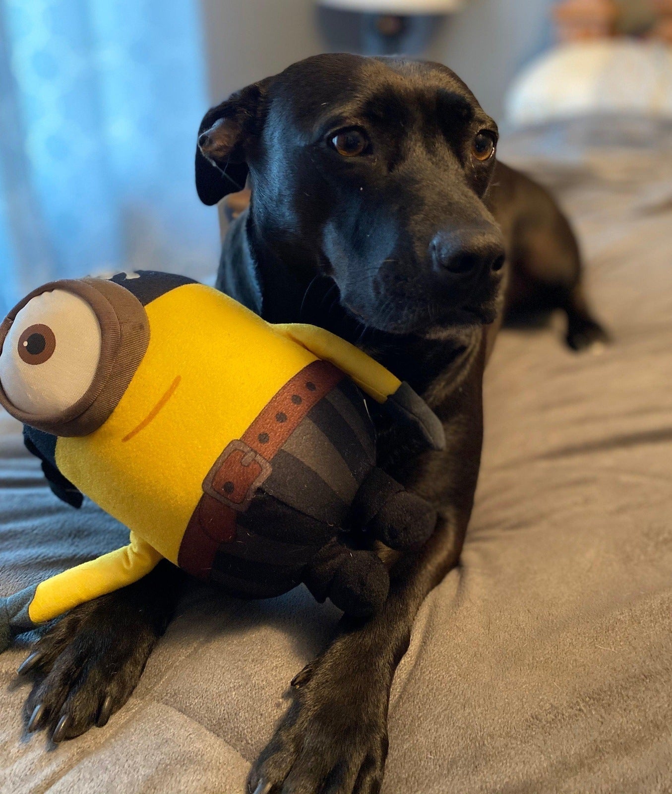 Minions & Friends: All Sizes