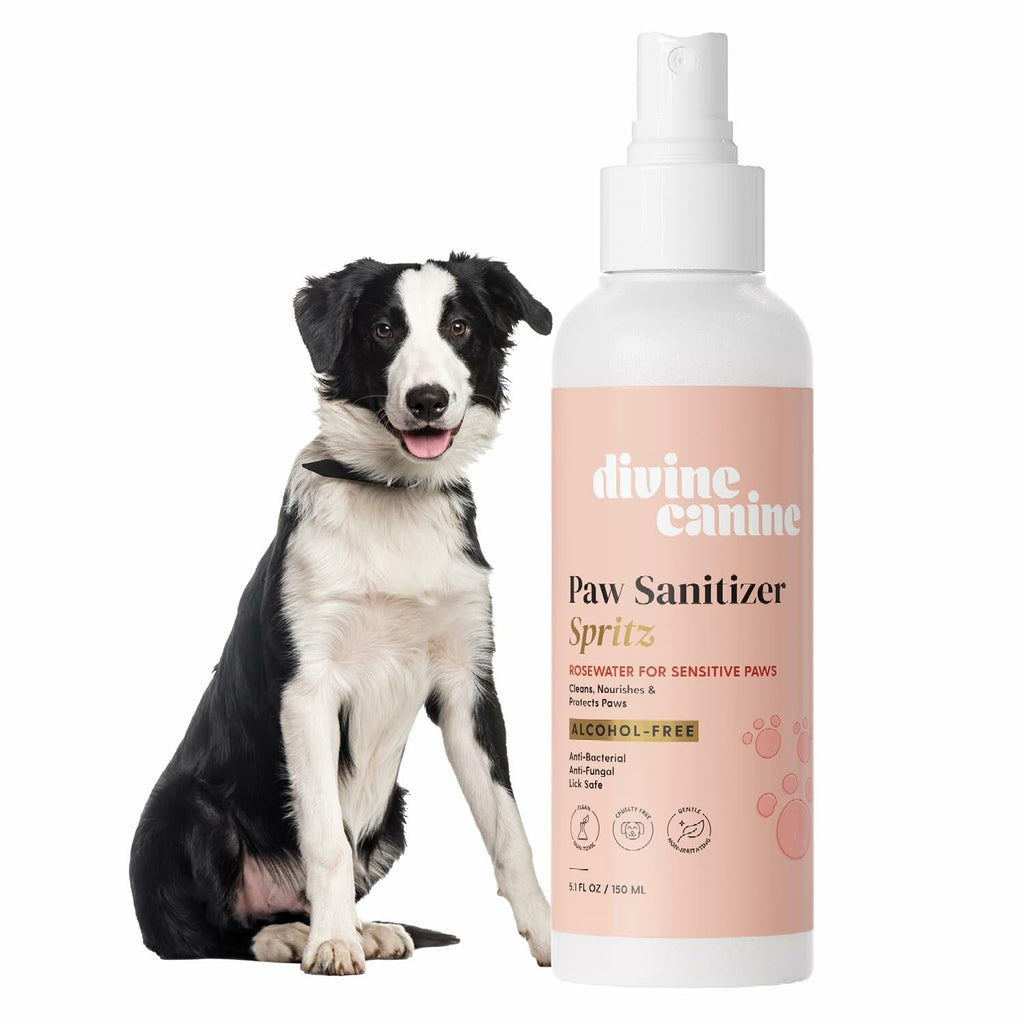 Dog Paw Cleaner Spray 5.1oz Alcohol Free Coconut Aloe Copaiba Lemongrass USA