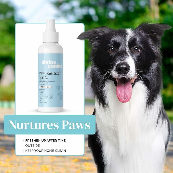 Dog Paw Cleaner Spray 5.1oz Alcohol Free Coconut Aloe Copaiba Lemongrass USA