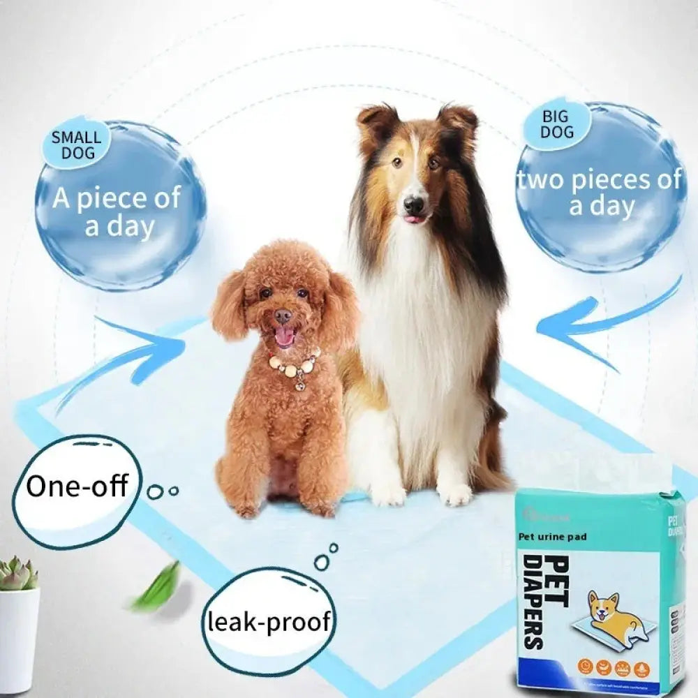 Super Absorbent Leak Proof Puppy Training Pads