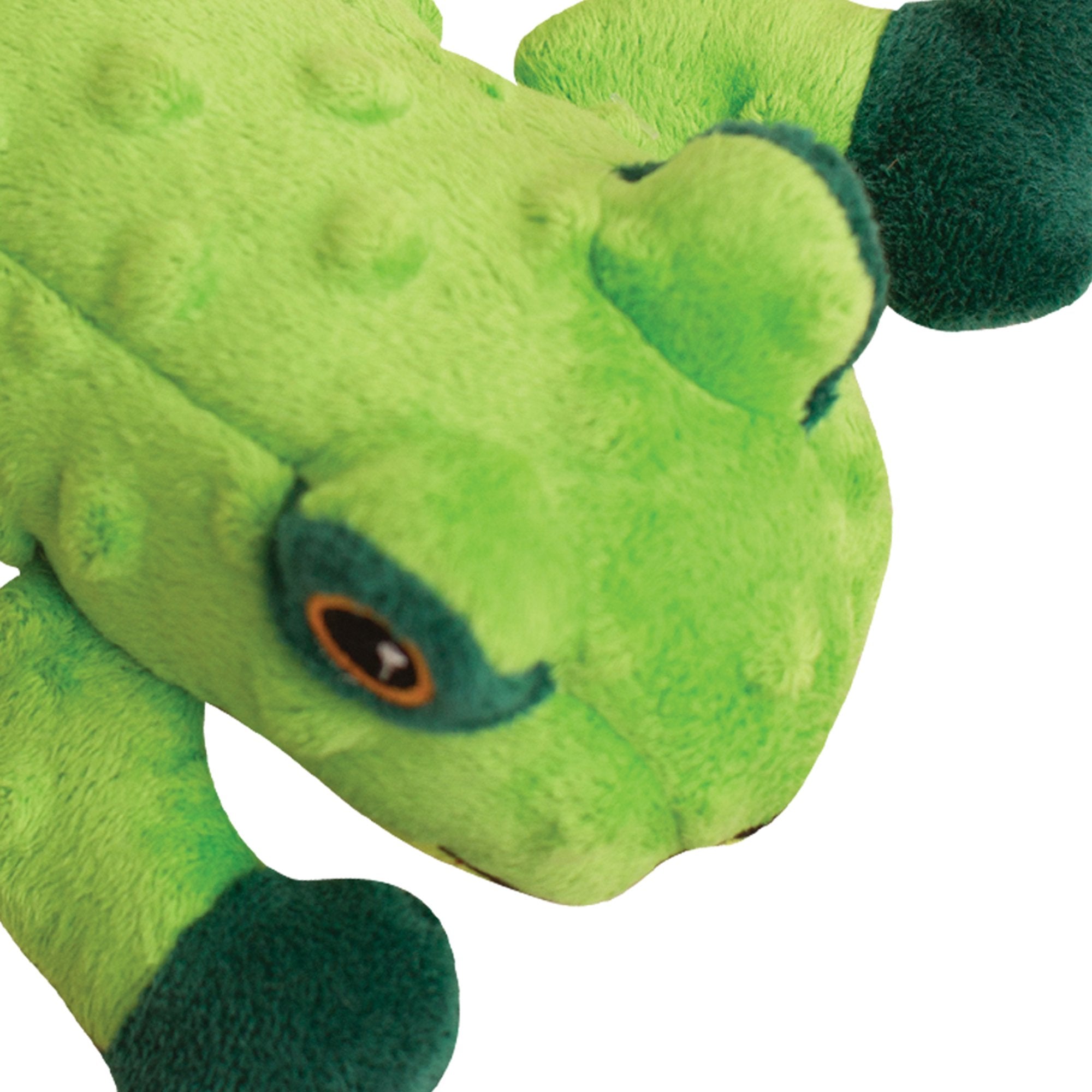 Lilly the Frog
