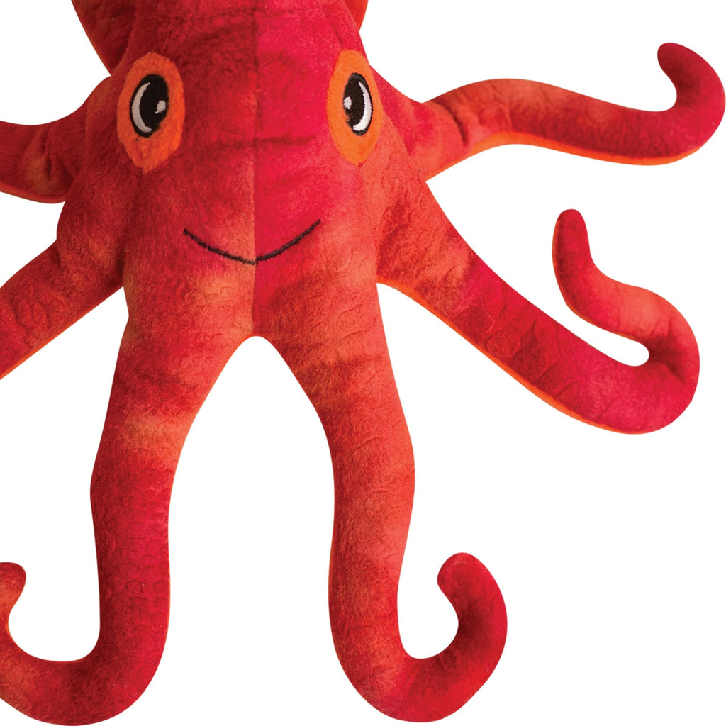 Olivia the Octopus