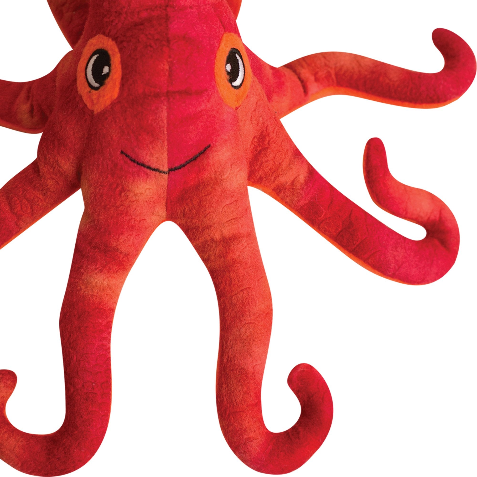 Olivia the Octopus