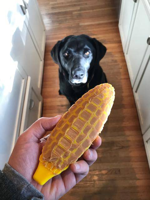 Corn on the Cob Nylon Dog Toy for Aggressive Chewers | USA Made | SodaPup