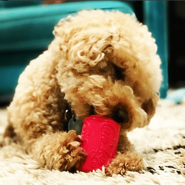 Puppy Can Toy Rubber Chew Toy for Teething Puppies | Treat Dispenser | USA Made