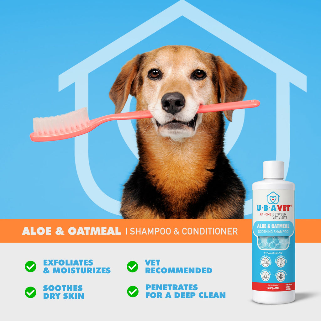 UBAVET Aloe & Oatmeal Shampoo for Dogs & Cats – Gentle, Moisturizing Cleanser for Sensitive Skin (16.9 fl oz / 500ml)