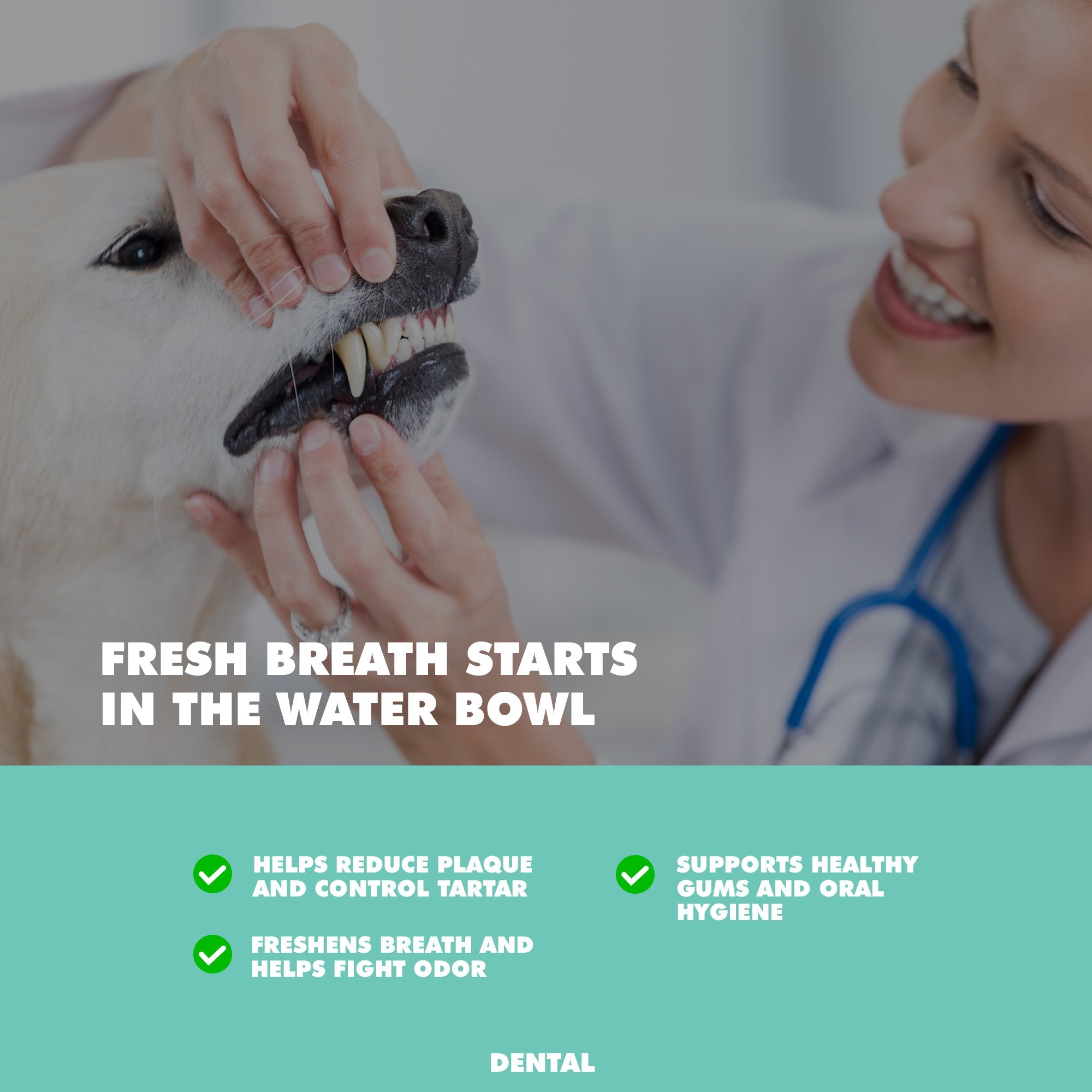 UBAVET Dental Care Water Additive for Dogs & Cats – Odorless & Tasteless Oral Health Solution (16 fl oz / 473 ml)
