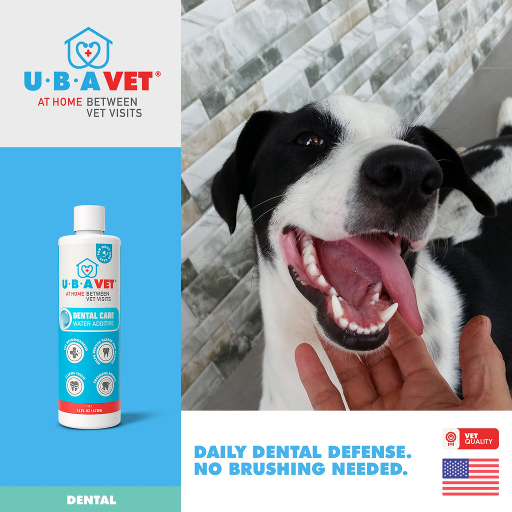 UBAVET Dental Care Water Additive for Dogs & Cats – Odorless & Tasteless Oral Health Solution (16 fl oz / 473 ml)