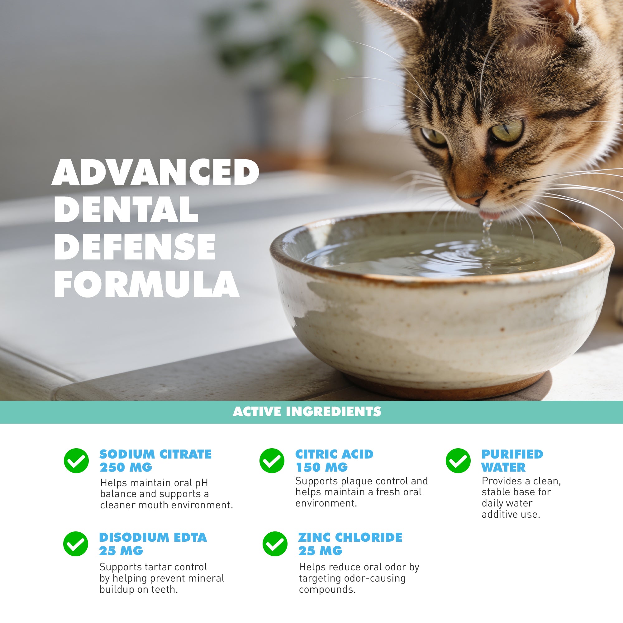 UBAVET Dental Care Water Additive for Dogs & Cats – Odorless & Tasteless Oral Health Solution (16 fl oz / 473 ml)