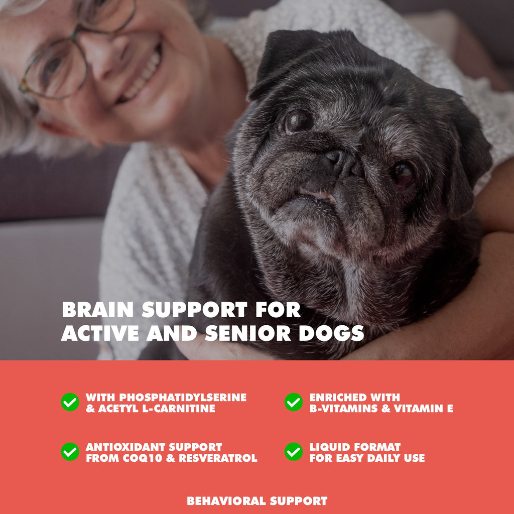 UBAVET Memory & Brain Support for Senior Dogs – 90 ct Cognitive Health Supplement