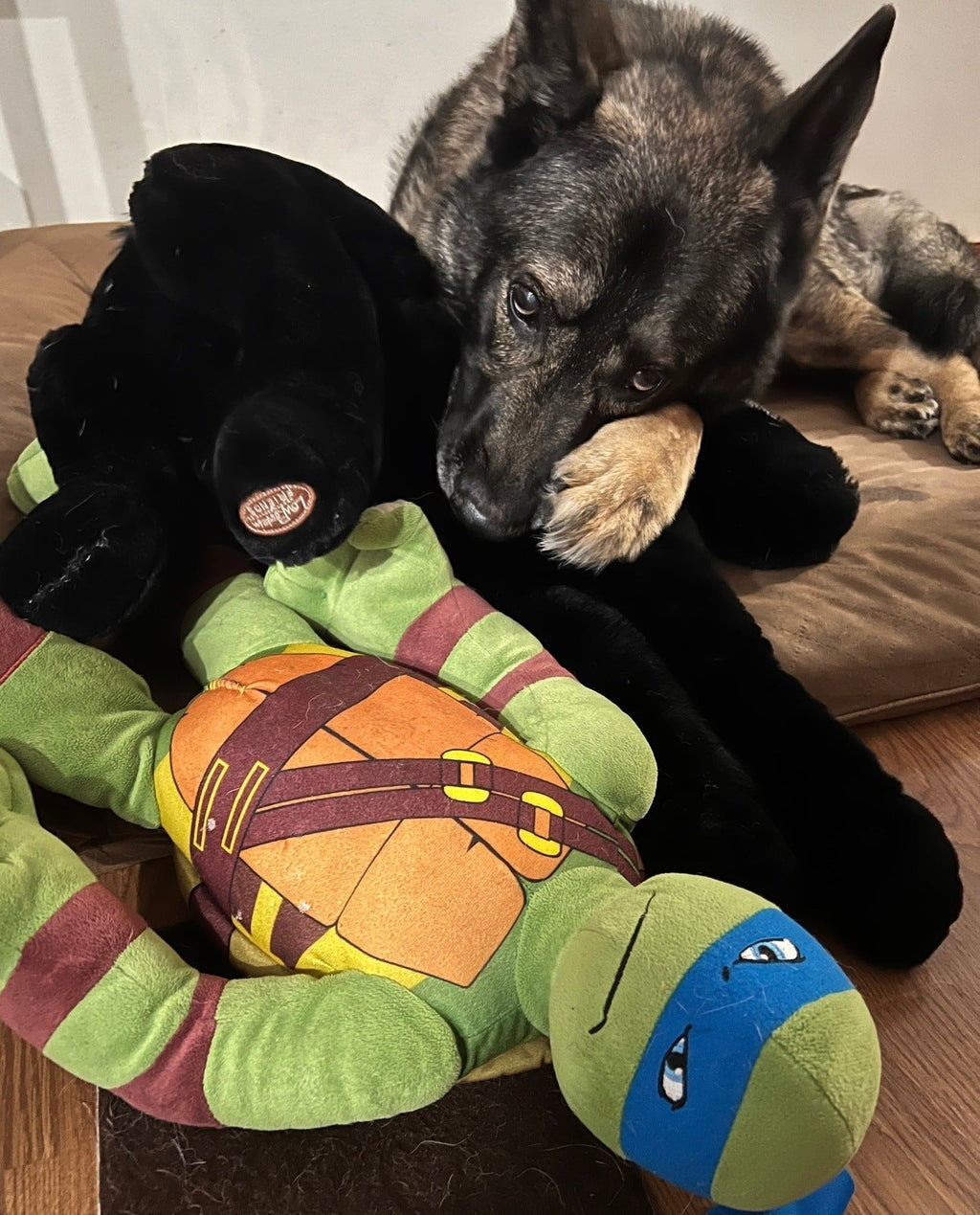 XXLarge 'Toon Town Famous Characters Squeaky & NO Squeak Dog Toys: 20"+